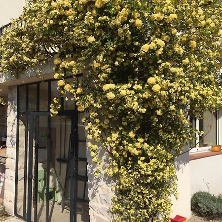 House Near Avignon With Pool Villa *
